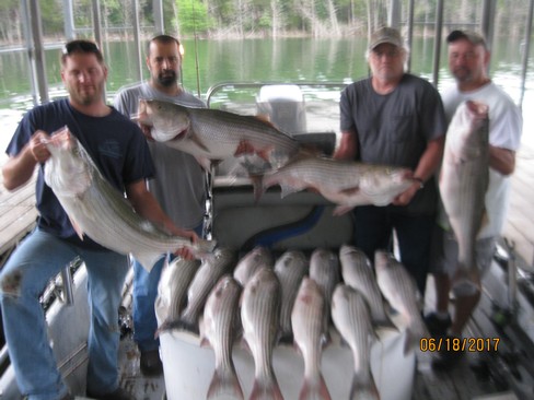 Nice Striped Bass